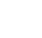 Stonewall School Champion